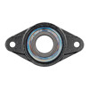 Picture of 2-Bolt Flange HT1000 Carbon Sleeve Bearing